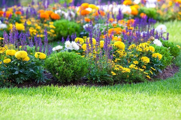 Flower Bed Design Ideas