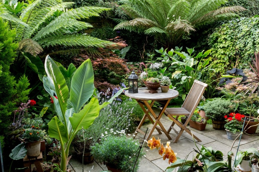 Backdate 1  Small Garden Design Ideas  BBC Gardeners World Magazine