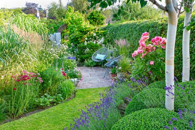 Backdate 1  Small Garden Design Ideas  BBC Gardeners World Magazine