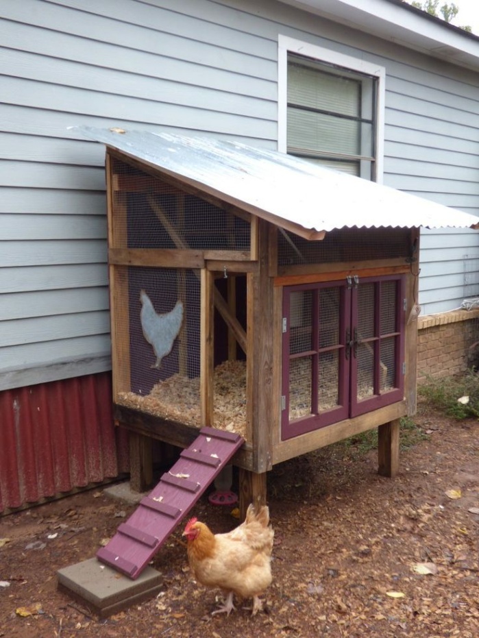 Hen House Design Ideas