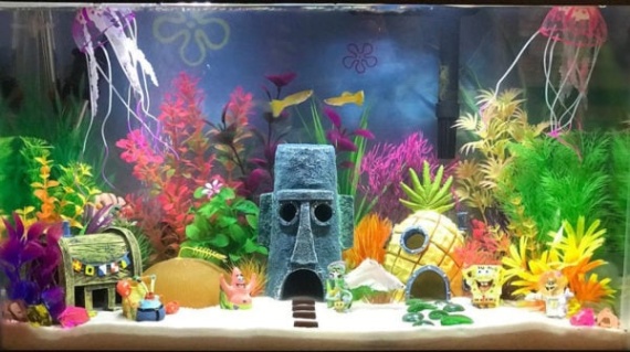 Niche Utama 2  Cool Fish Tank Themes That Will Inspire You  BeChewy