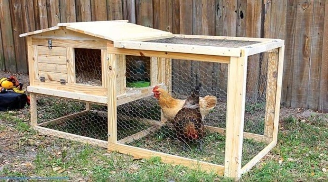 Niche Utama 2  Free Chicken Coop Plans & Ideas That You Can Build On Your Own