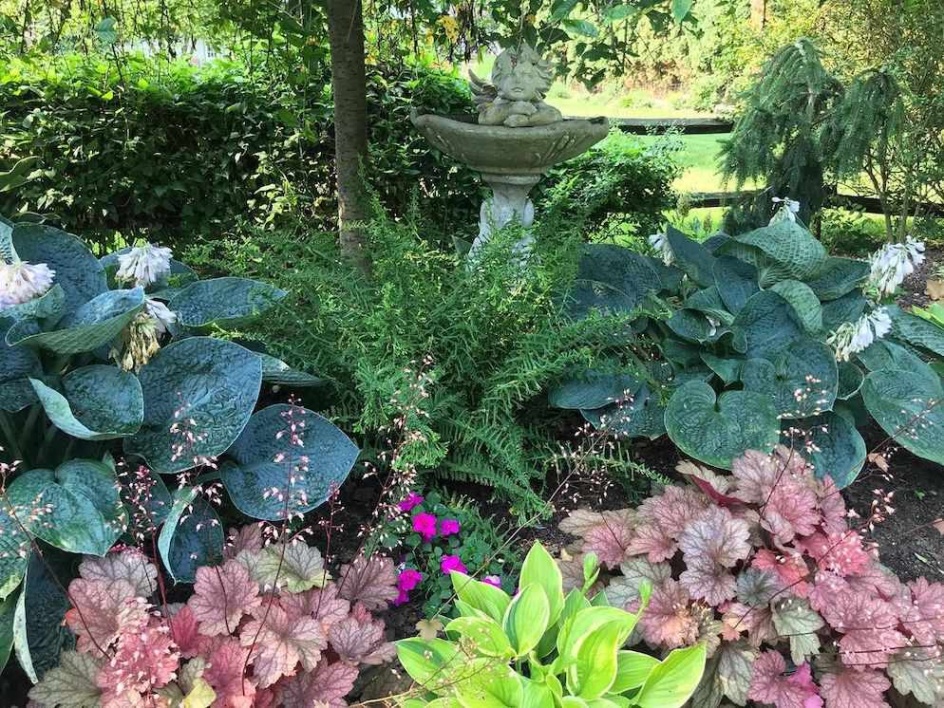 Front Yard Hosta Garden Design Ideas