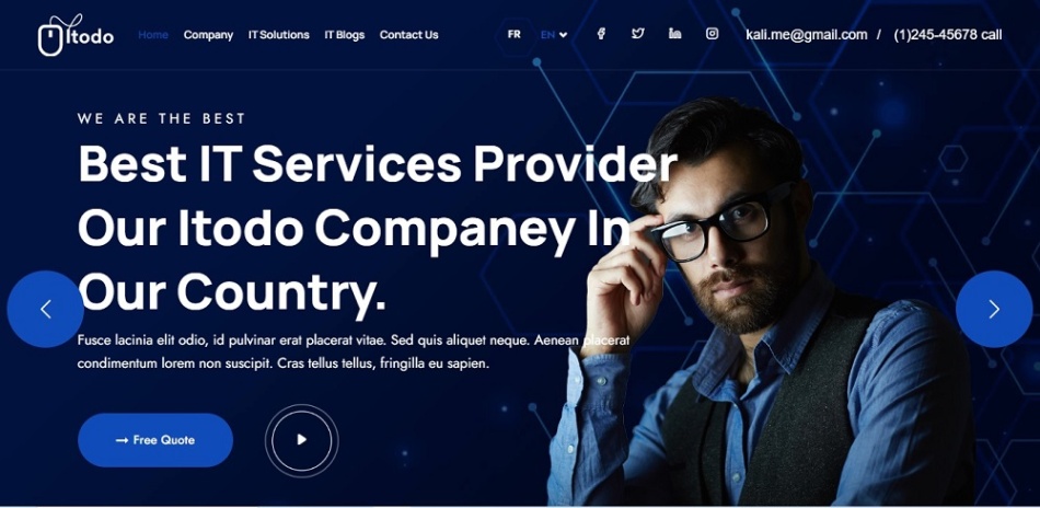 Niche Utama 2  Website Design Ideas For IT Company  - Tectera